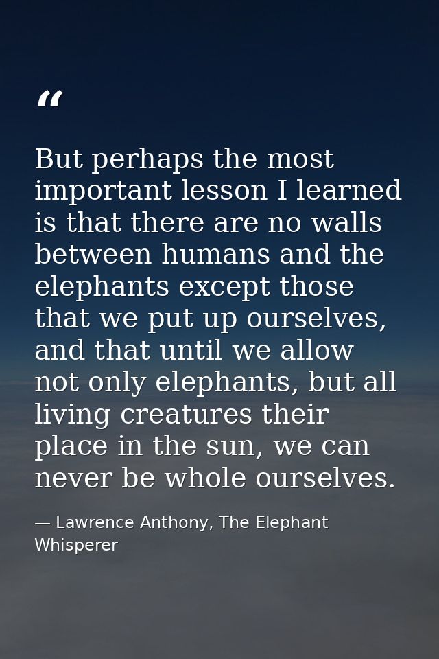 But perhaps the most important lesson I learned is that there are no walls between humans and the elephants except those — Lawrence Anthony, The Elephant Whisperer