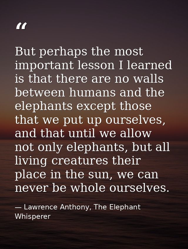 But perhaps the most important lesson I learned is that there are no walls between humans and the elephants except those — Lawrence Anthony, The Elephant Whisperer