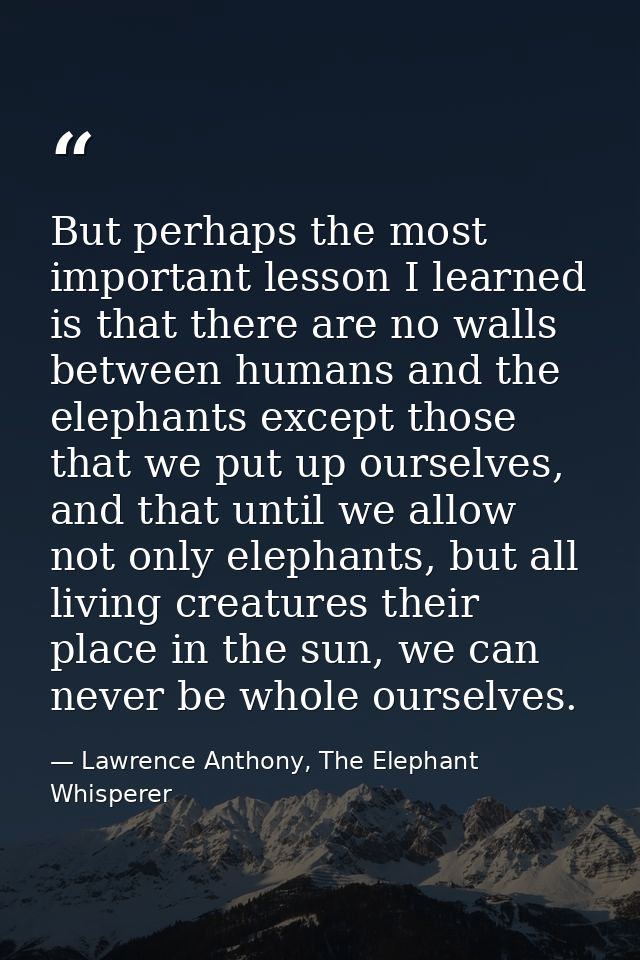 But perhaps the most important lesson I learned is that there are no walls between humans and the elephants except those — Lawrence Anthony, The Elephant Whisperer
