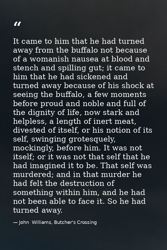 It came to him that he had turned away from the buffalo not because of a womanish nausea at blood and stench and spillin — John  Williams, Butcher's Crossing
