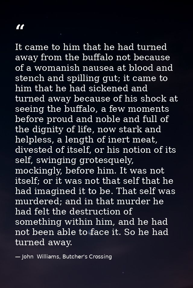 It came to him that he had turned away from the buffalo not because of a womanish nausea at blood and stench and spillin — John  Williams, Butcher's Crossing