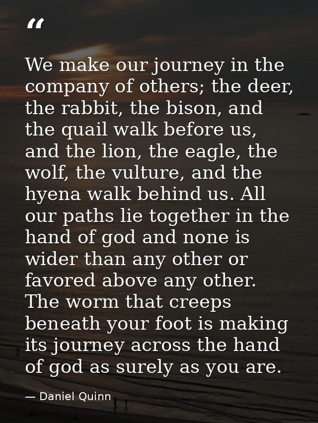 We make our journey in the company of others; the deer, the rabbit, the bison, and the quail walk before us, and the lio — Daniel Quinn