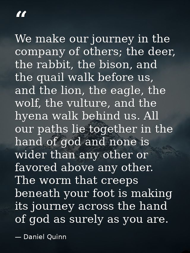 We make our journey in the company of others; the deer, the rabbit, the bison, and the quail walk before us, and the lio — Daniel Quinn