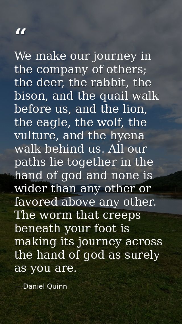 We make our journey in the company of others; the deer, the rabbit, the bison, and the quail walk before us, and the lio — Daniel Quinn