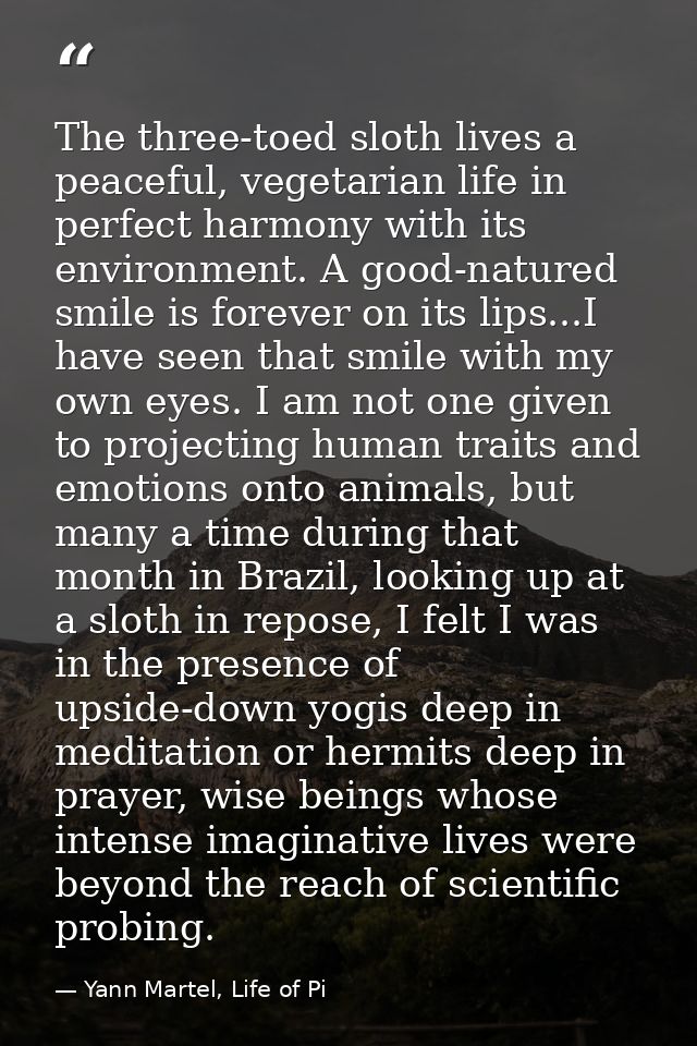 The three-toed sloth lives a peaceful, vegetarian life in perfect harmony with its environment. A good-natured smile is  — Yann Martel, Life of Pi