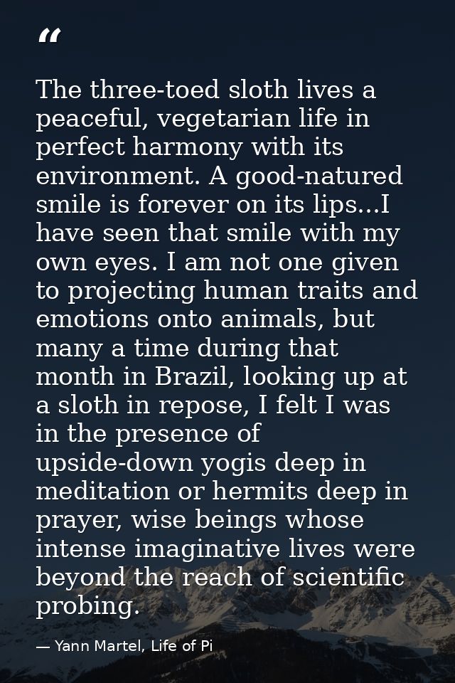 The three-toed sloth lives a peaceful, vegetarian life in perfect harmony with its environment. A good-natured smile is  — Yann Martel, Life of Pi