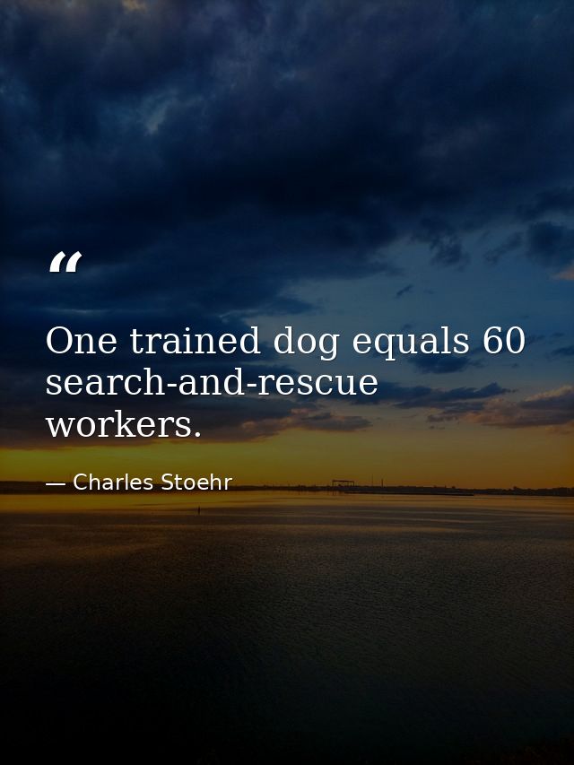 One trained dog equals 60 search-and-rescue workers. — Charles Stoehr