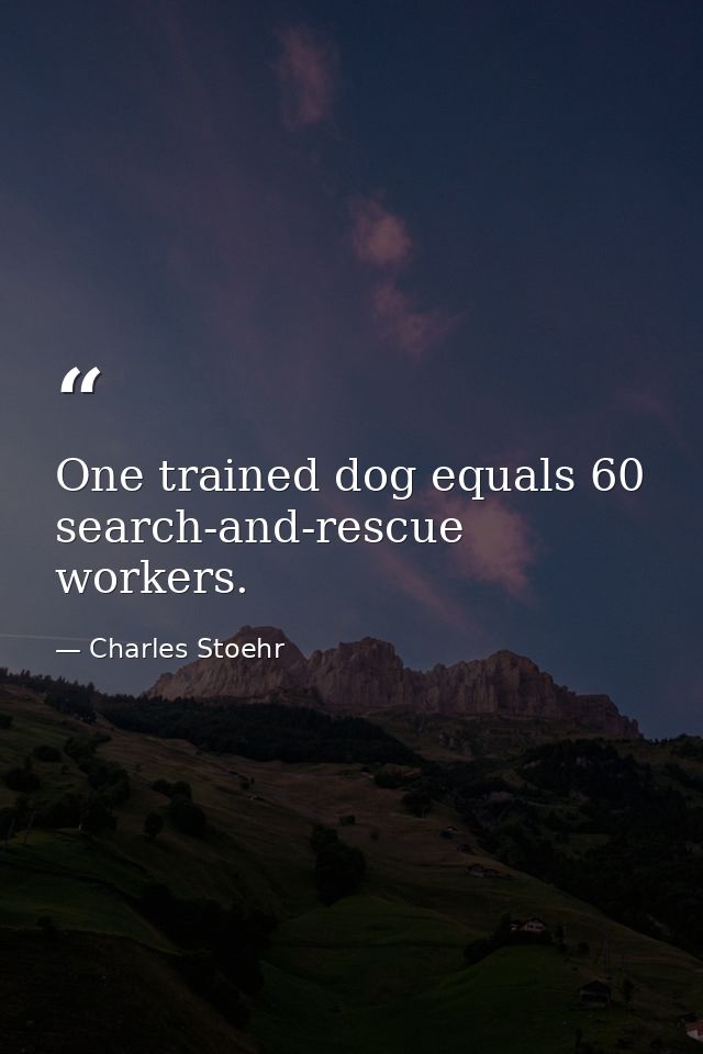One trained dog equals 60 search-and-rescue workers. — Charles Stoehr