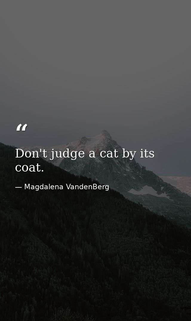 Don't judge a cat by its coat. — Magdalena VandenBerg