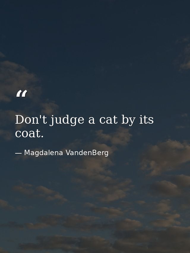 Don't judge a cat by its coat. — Magdalena VandenBerg