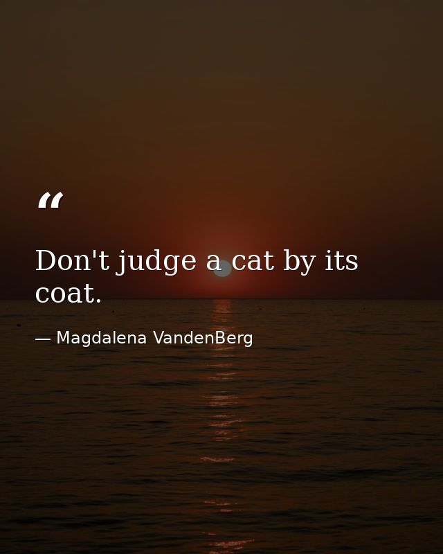 Don't judge a cat by its coat. — Magdalena VandenBerg