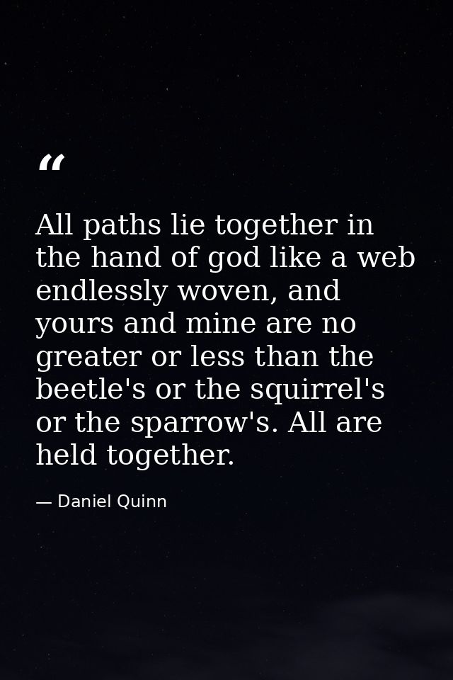 All paths lie together in the hand of god like a web endlessly woven, and yours and mine are no greater or less than the — Daniel Quinn