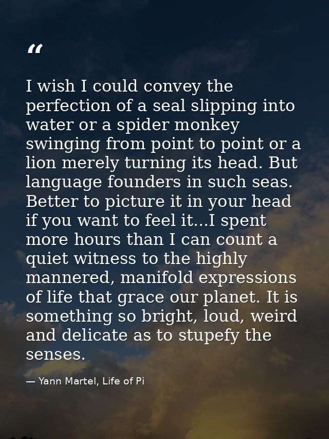 I wish I could convey the perfection of a seal slipping into water or a spider monkey swinging from point to point or a  — Yann Martel, Life of Pi
