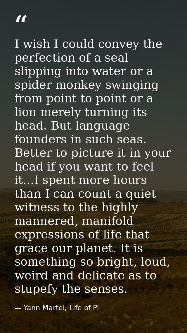 I wish I could convey the perfection of a seal slipping into water or a spider monkey swinging from point to point or a  — Yann Martel, Life of Pi