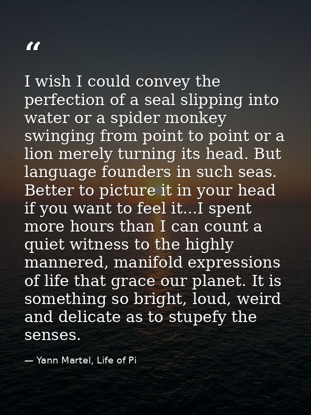 I wish I could convey the perfection of a seal slipping into water or a spider monkey swinging from point to point or a  — Yann Martel, Life of Pi