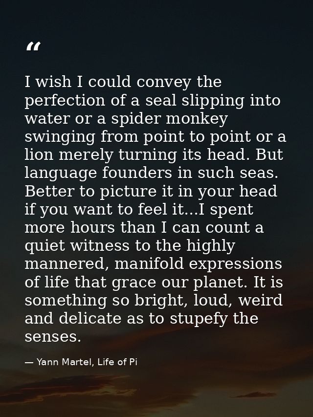 I wish I could convey the perfection of a seal slipping into water or a spider monkey swinging from point to point or a  — Yann Martel, Life of Pi