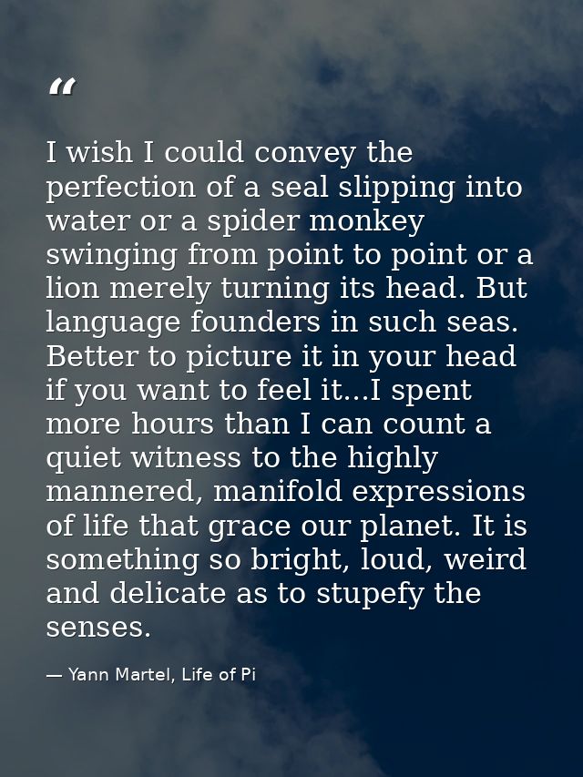 I wish I could convey the perfection of a seal slipping into water or a spider monkey swinging from point to point or a  — Yann Martel, Life of Pi