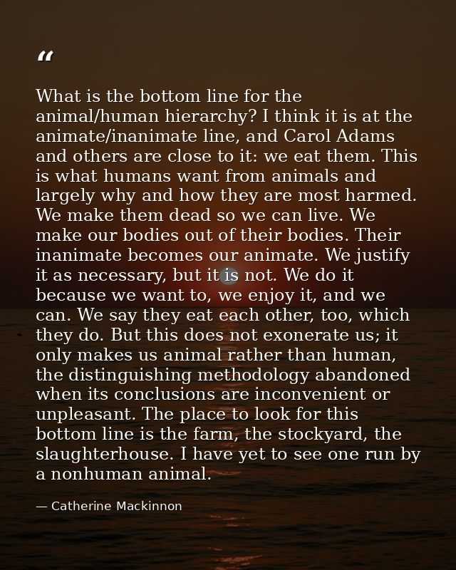 What is the bottom line for the animal/human hierarchy? I think it is at the animate/inanimate line, and Carol Adams and — Catherine Mackinnon