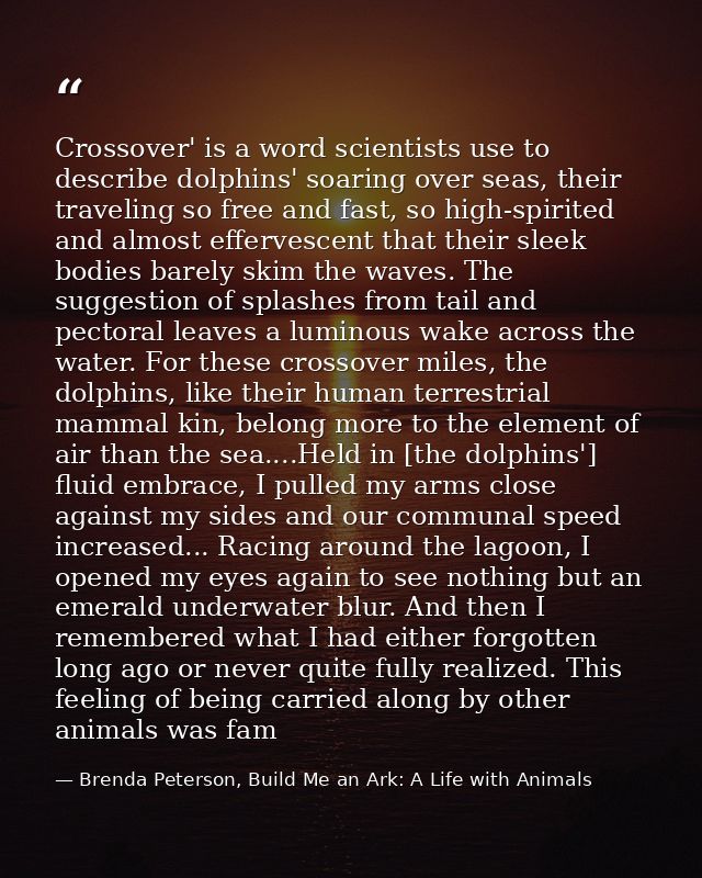 Crossover' is a word scientists use to describe dolphins' soaring over seas, their traveling so free and fast, so high-s — Brenda Peterson, Build Me an Ark: A Life with Animals
