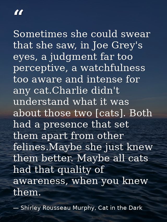 Sometimes she could swear that she saw, in Joe Grey's eyes, a judgment far too perceptive, a watchfulness too aware and  — Shirley Rousseau Murphy, Cat in the Dark