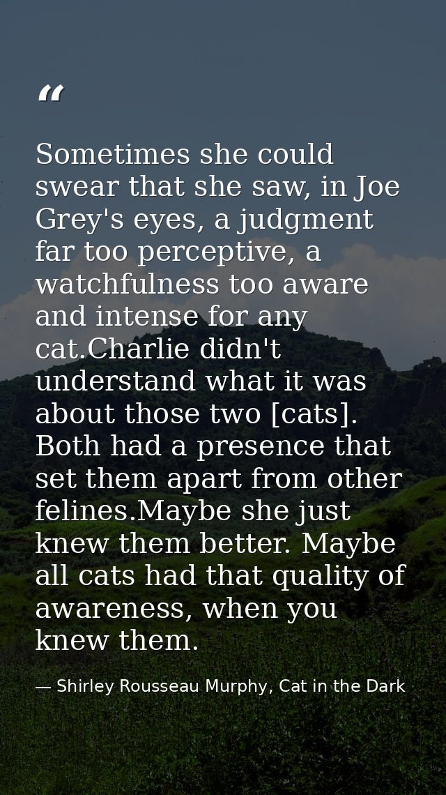 Sometimes she could swear that she saw, in Joe Grey's eyes, a judgment far too perceptive, a watchfulness too aware and  — Shirley Rousseau Murphy, Cat in the Dark