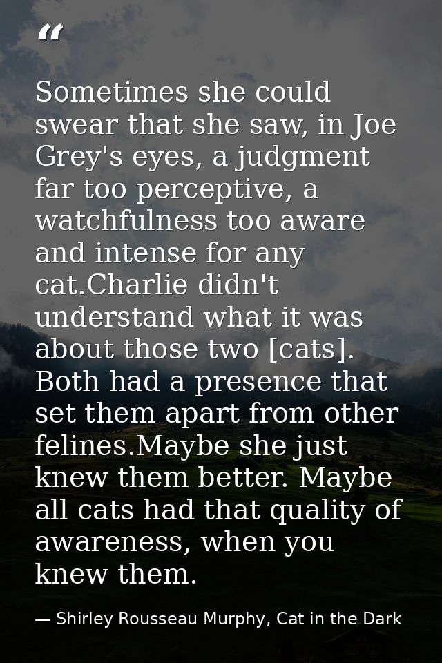 Sometimes she could swear that she saw, in Joe Grey's eyes, a judgment far too perceptive, a watchfulness too aware and  — Shirley Rousseau Murphy, Cat in the Dark