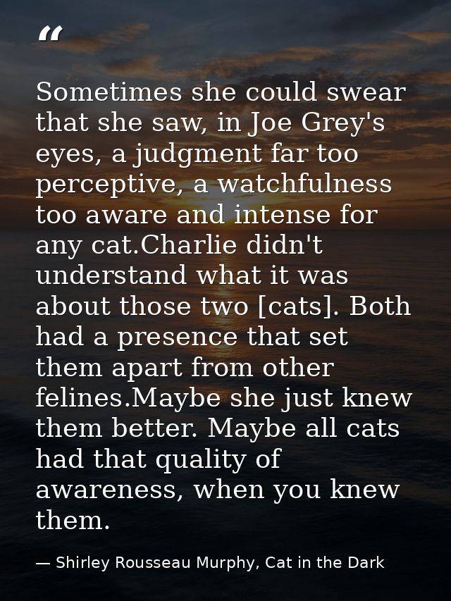 Sometimes she could swear that she saw, in Joe Grey's eyes, a judgment far too perceptive, a watchfulness too aware and  — Shirley Rousseau Murphy, Cat in the Dark