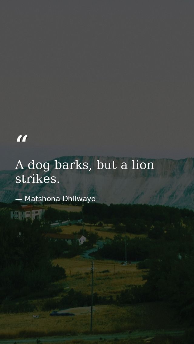 A dog barks, but a lion strikes. — Matshona Dhliwayo