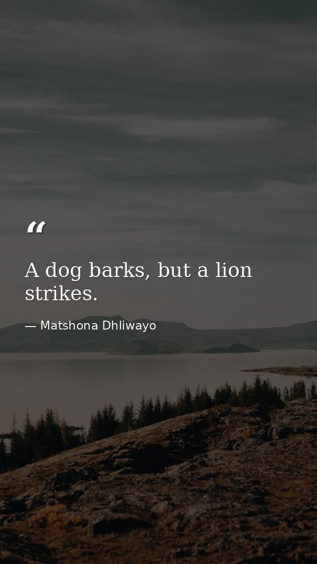 A dog barks, but a lion strikes. — Matshona Dhliwayo