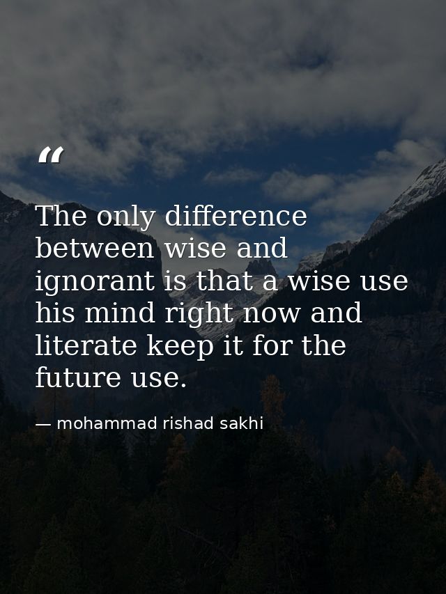 The only difference between wise and ignorant is that a wise use his mind right now and literate keep it for the future  — mohammad rishad sakhi