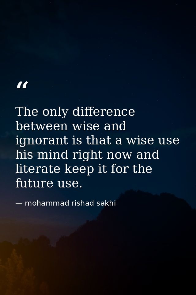 The only difference between wise and ignorant is that a wise use his mind right now and literate keep it for the future  — mohammad rishad sakhi