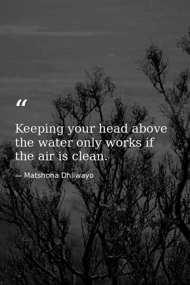 Keeping your head above the water only works if the air is clean. — Matshona Dhliwayo