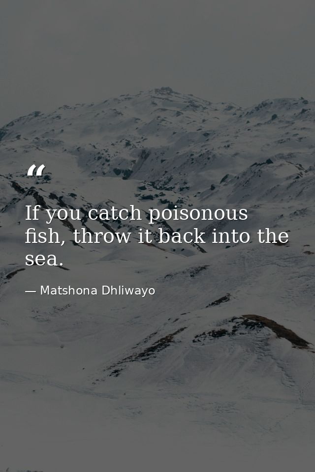 If you catch poisonous fish, throw it back into the sea. — Matshona Dhliwayo