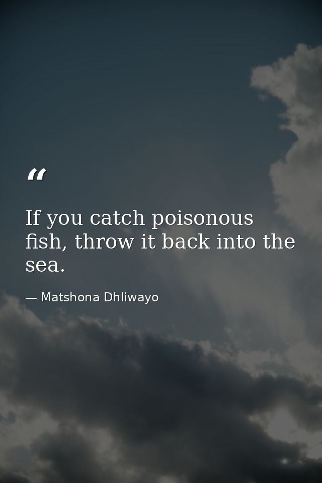 If you catch poisonous fish, throw it back into the sea. — Matshona Dhliwayo