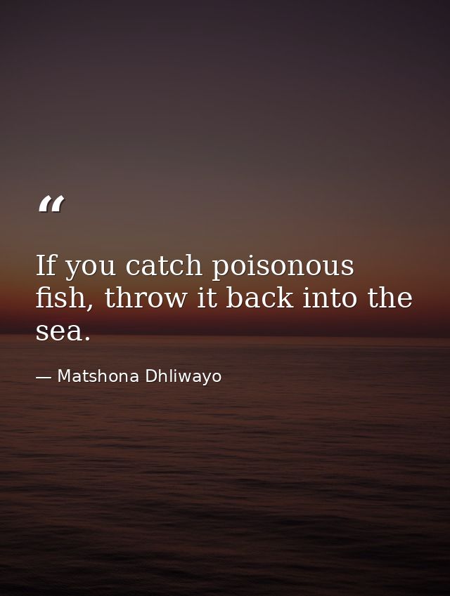 If you catch poisonous fish, throw it back into the sea. — Matshona Dhliwayo