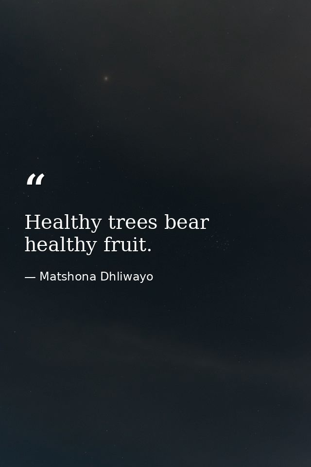 Healthy trees bear healthy fruit. — Matshona Dhliwayo