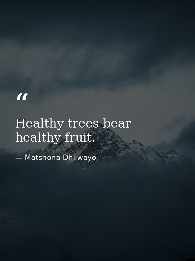 Healthy trees bear healthy fruit. — Matshona Dhliwayo