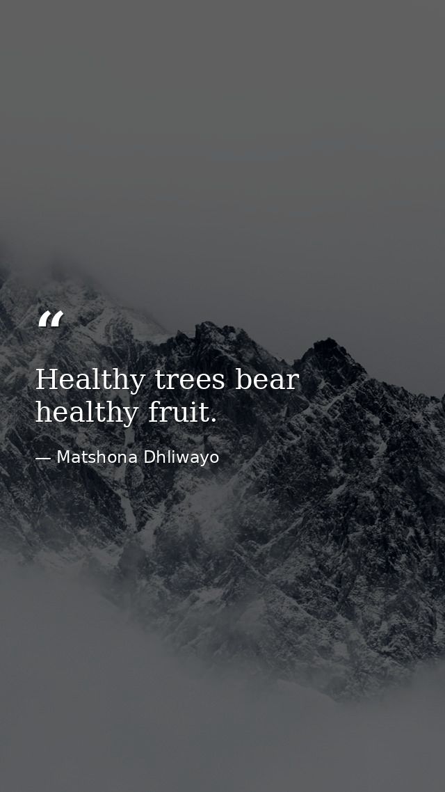Healthy trees bear healthy fruit. — Matshona Dhliwayo