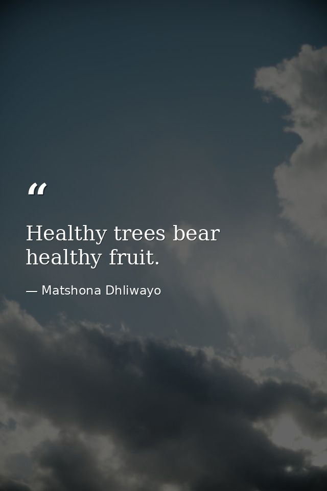 Healthy trees bear healthy fruit. — Matshona Dhliwayo