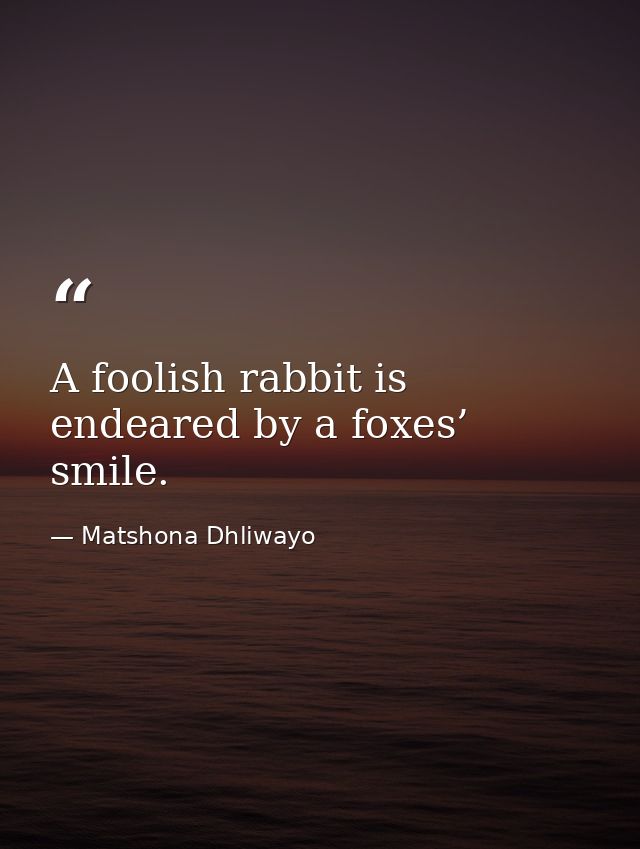 A foolish rabbit is endeared by a foxes’ smile. — Matshona Dhliwayo