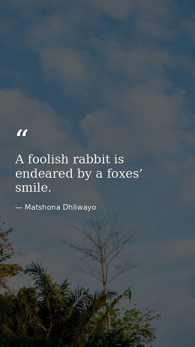 A foolish rabbit is endeared by a foxes’ smile. — Matshona Dhliwayo
