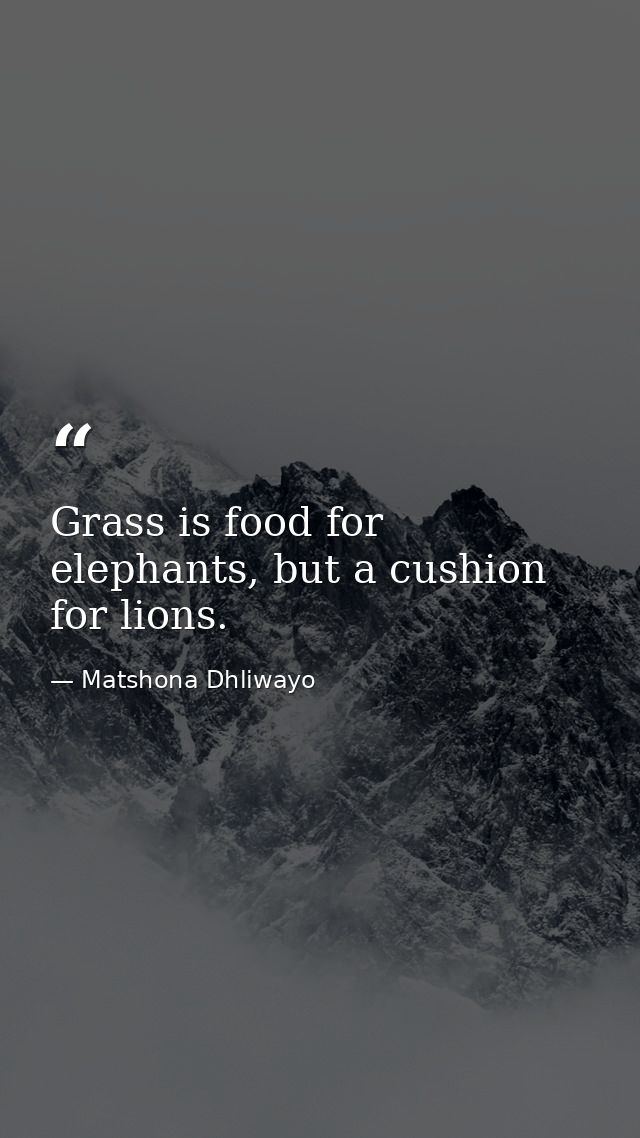 Grass is food for elephants, but a cushion for lions. — Matshona Dhliwayo