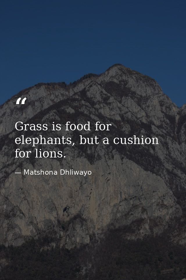 Grass is food for elephants, but a cushion for lions. — Matshona Dhliwayo