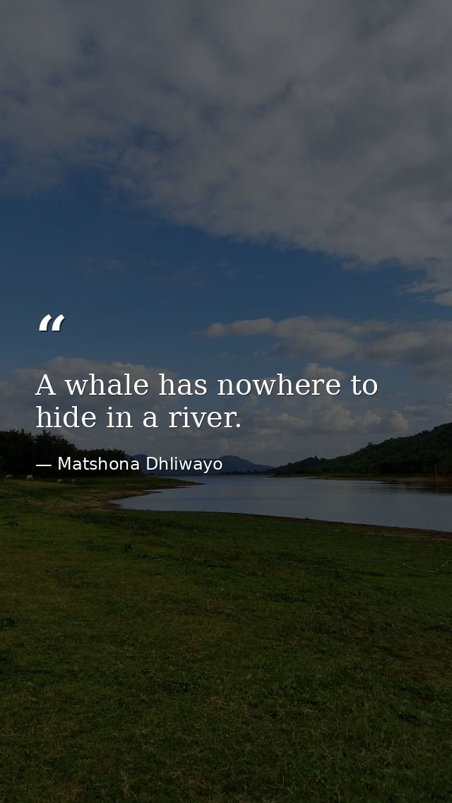A whale has nowhere to hide in a river. — Matshona Dhliwayo