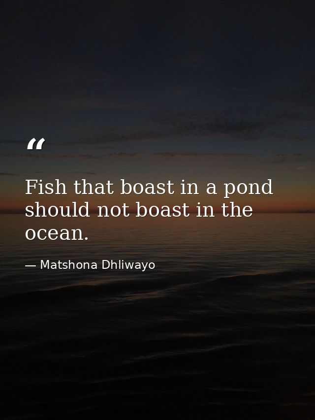 Fish that boast in a pond should not boast in the ocean. — Matshona Dhliwayo