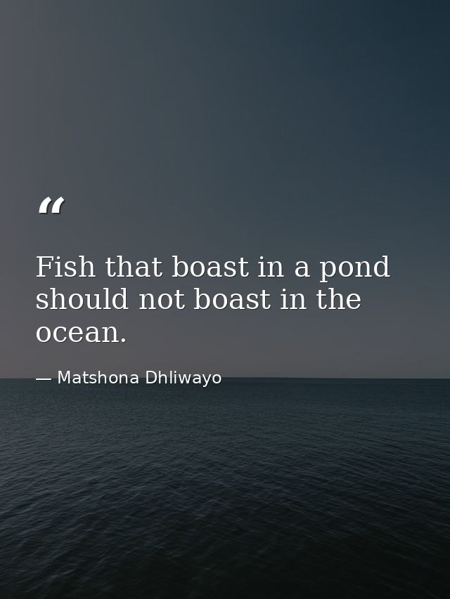 Fish that boast in a pond should not boast in the ocean. — Matshona Dhliwayo