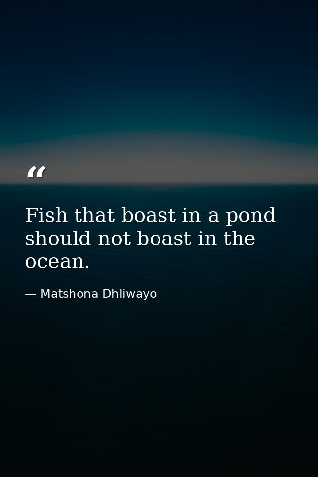 Fish that boast in a pond should not boast in the ocean. — Matshona Dhliwayo
