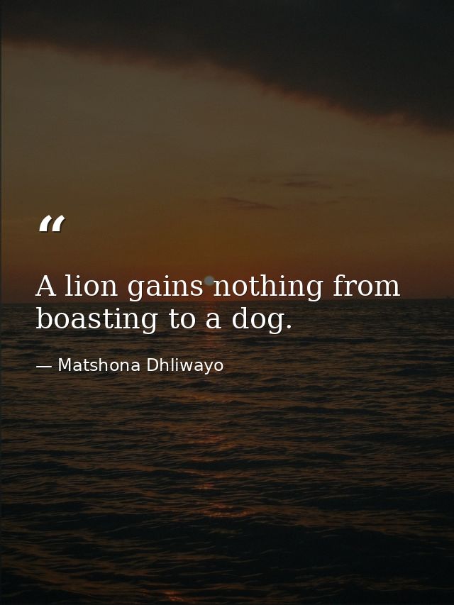 A lion gains nothing from boasting to a dog. — Matshona Dhliwayo