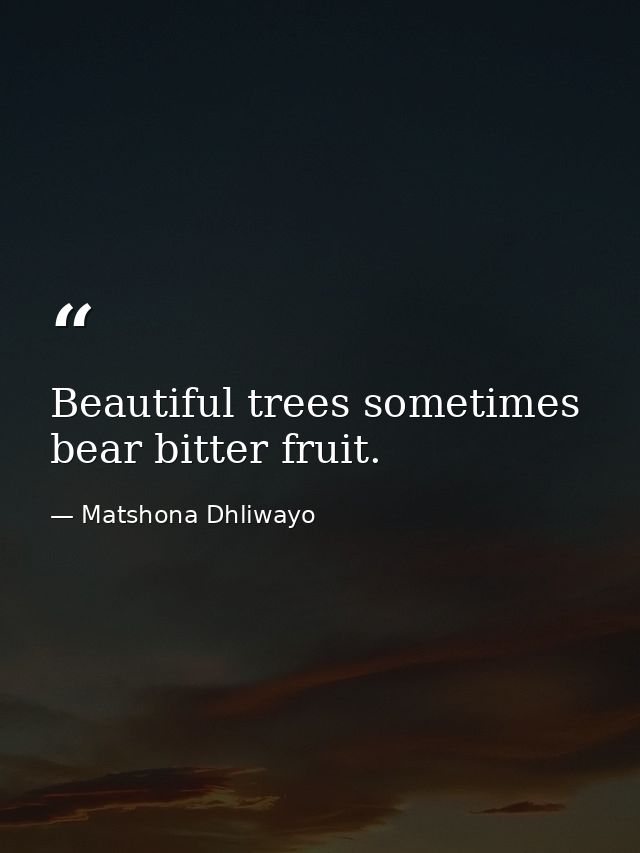 Beautiful trees sometimes bear bitter fruit. — Matshona Dhliwayo