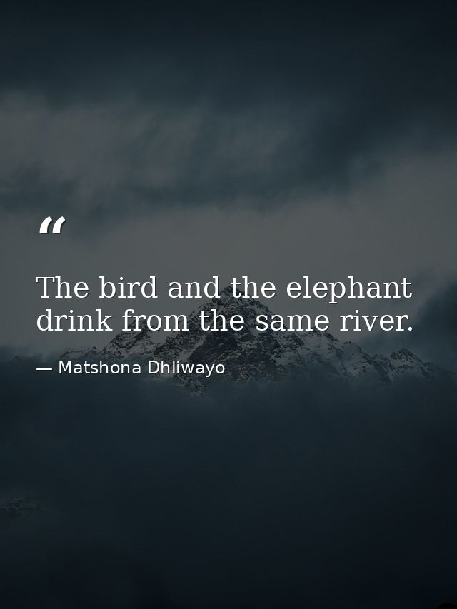 The bird and the elephant drink from the same river. — Matshona Dhliwayo